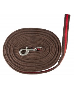 Συραγωγέας (P)