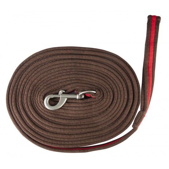 Συραγωγέας (P)