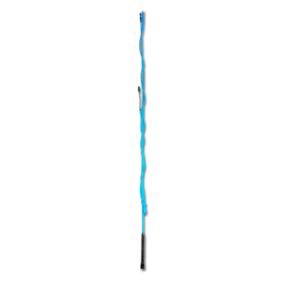 Μάστιγα Εκπαίδευσης