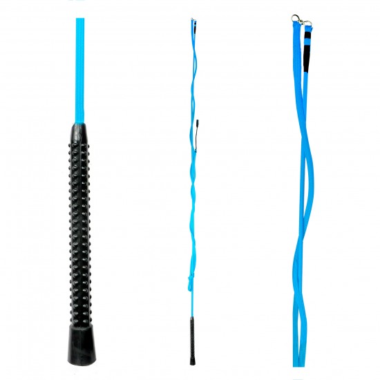 Μάστιγα Εκπαίδευσης