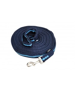 Συραγωγέας βαμβακερός (H)