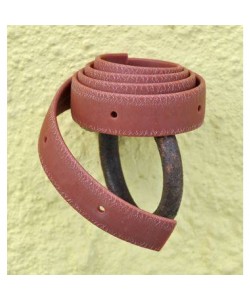 Insect repellent collar