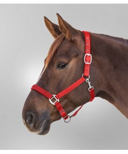 Καπίστρια ιμάντινα, ενισχυμένα (Satin)