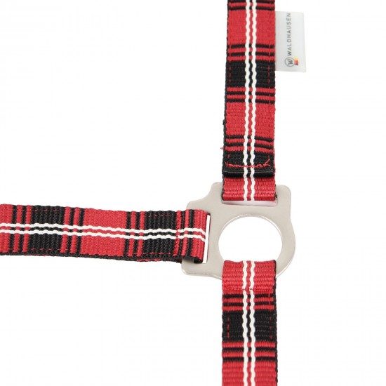 Καπίστρια ιμάντινα, καρώ