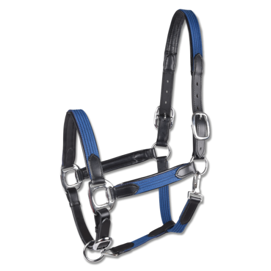 Καπίστρια από δέρμα και ύφασμα (W)