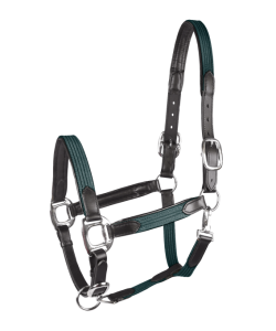 Halter combined web and leather (W)