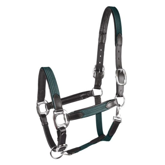 Καπίστρια από δέρμα και ύφασμα (W)