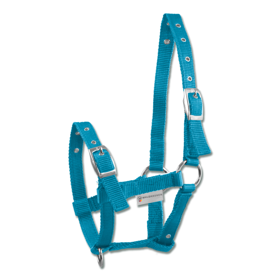 Καπίστρια ιμάντινα για πουλάρια (W)