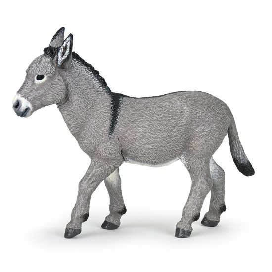 Provence miniature donkey