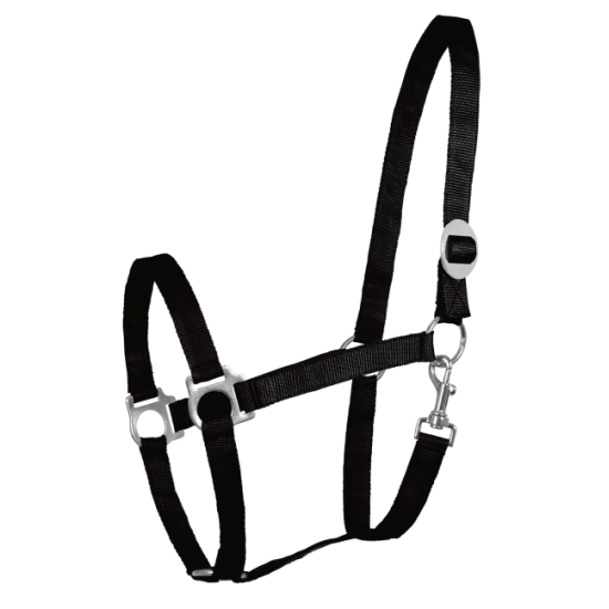 Ιμάντινα Shetty (W)