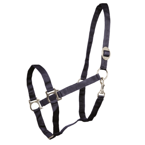 Ιμάντινα Shetty (W)