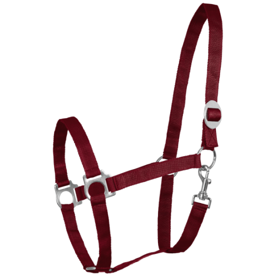 Ιμάντινα Shetty (W)