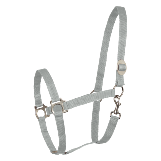 Ιμάντινα Shetty (W)