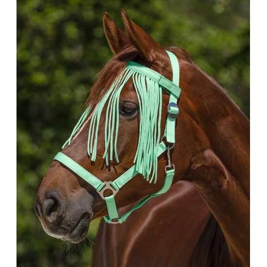 Προστατευτικά κρόσσια για μύγες