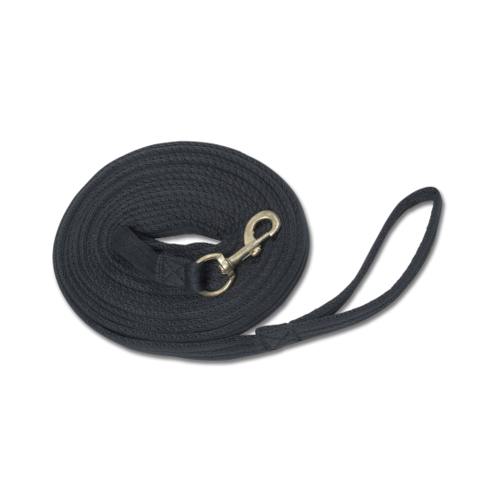 Συραγωγέας (W)