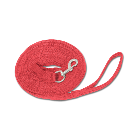 Συραγωγέας (W)