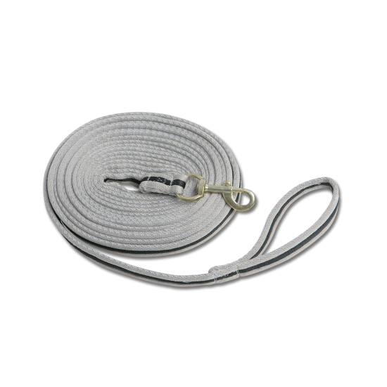 Συραγωγέας (W)