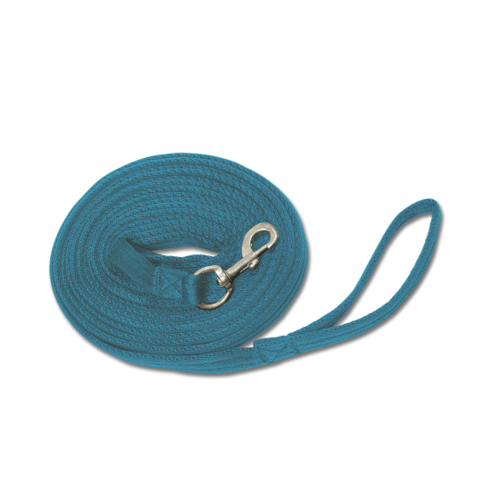 Συραγωγέας (W)