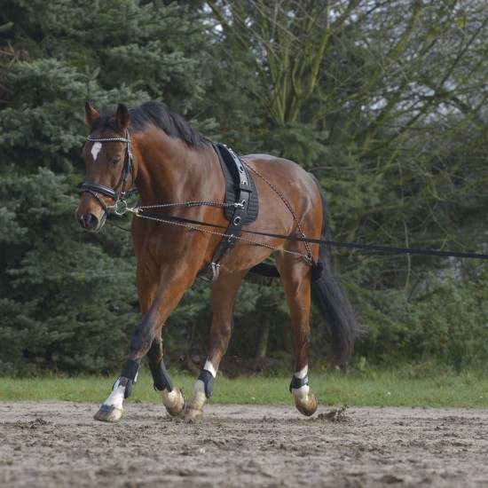 Σύστημα εκπαίδευσης 