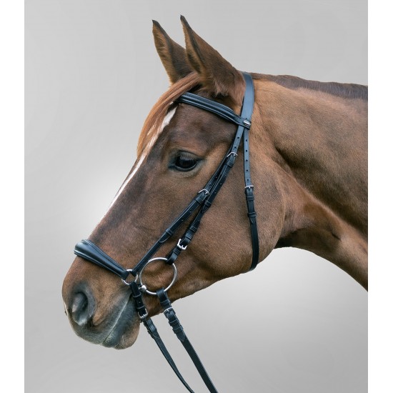 Δερμάτινο γκέμι Hannover