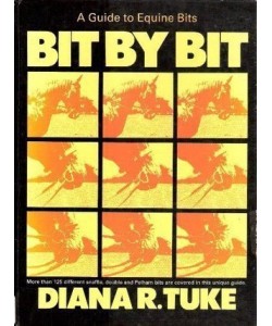 Bit by bit by Diana R.Tuke (English version)