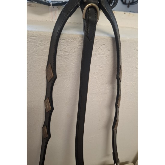 Προστερνίδιο τύπου Western (ρομβος)