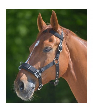 Καπίστρι συραγώγησης (W)