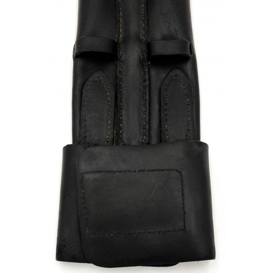 Έποχα ιππικής δεξιοτεχνίας (dressage) Stubben