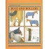 Rugs and Rollers by Threshold Picture Guides (Έκδοση στα αγγλικά)
