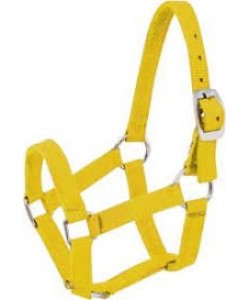 Καπίστρια ιμάντινα, απλά