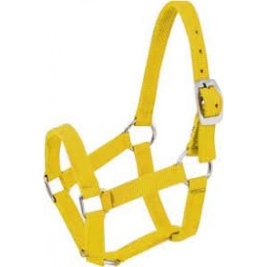 Καπίστρια ιμάντινα, απλά