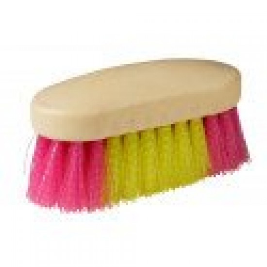 Βούρτσες δίχρωμες με πλαστικό χερούλι (P)