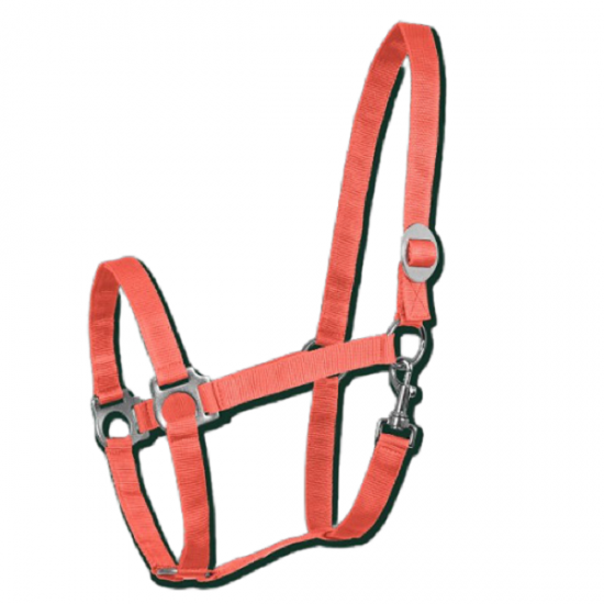 Ιμάντινα Shetty (W)