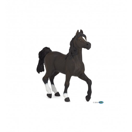 Μινιατούρα αραβικό άλογο