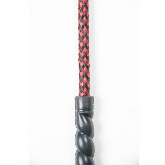 Μαστίγιο Ι.Δ., δίχρωμο (P)