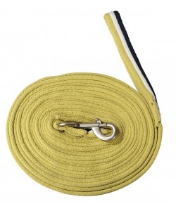 Συραγωγέας (P)