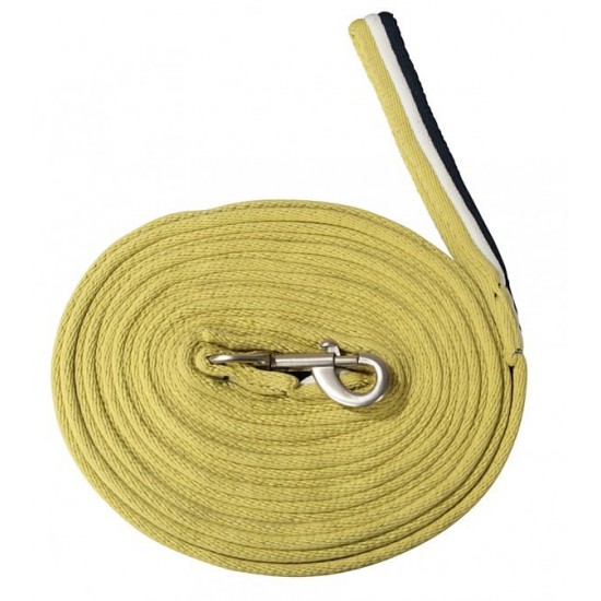 Συραγωγέας (P)