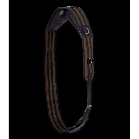 Ιμάντινος Σελίσκος (W)