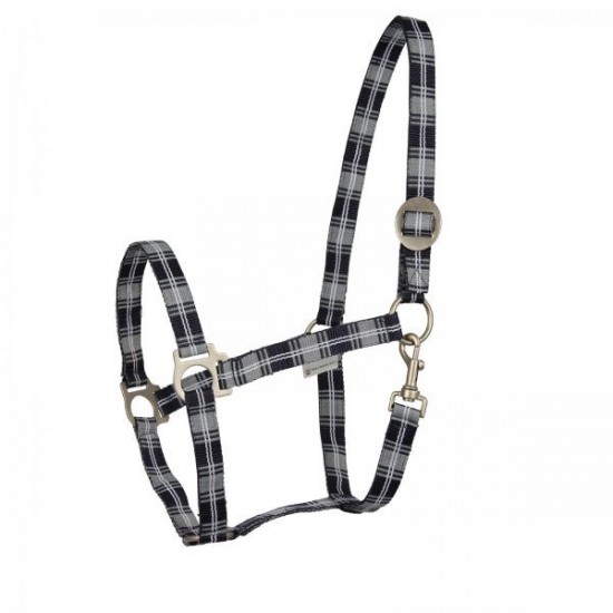 Καπίστρια ιμάντινα, καρώ