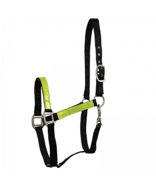 Καπίστρια ιμάντινα, φωσφωριζέ