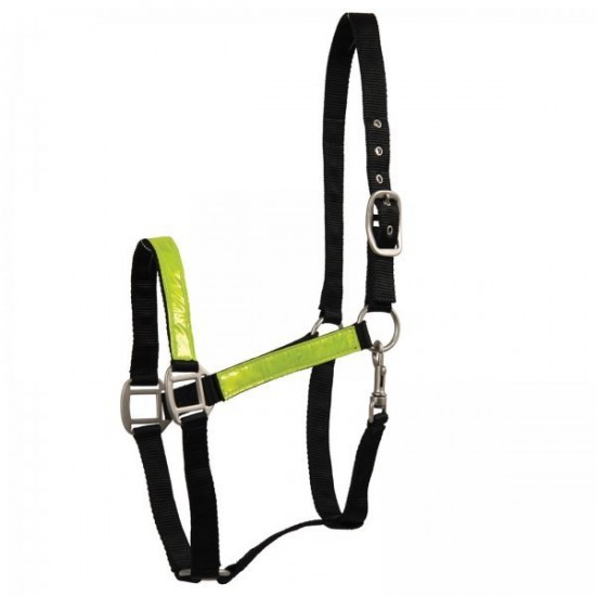 Καπίστρια ιμάντινα, φωσφωριζέ