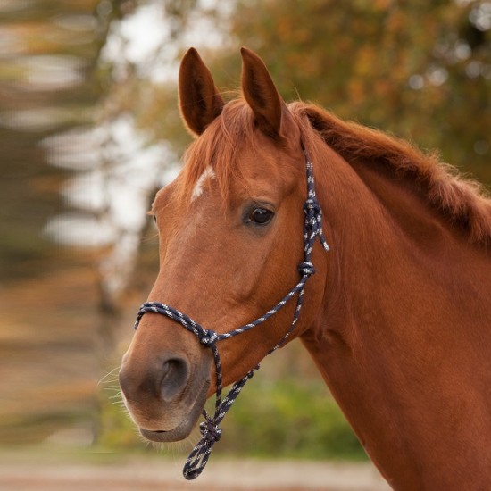 Καπίστρια σχοινένια