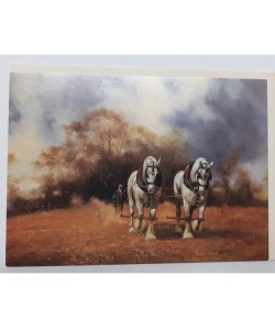 Greeting Cards With Horse Print