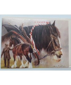Greeting Cards With Horse Print