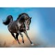 Ευχετήρια κάρτα γενεθλίων με άλογο