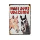 Μεταλλική διακοσμητική πινακίδα με άλογα (H)