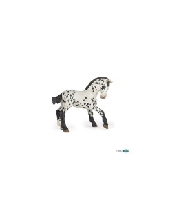 Appaloosa Foal Miniature