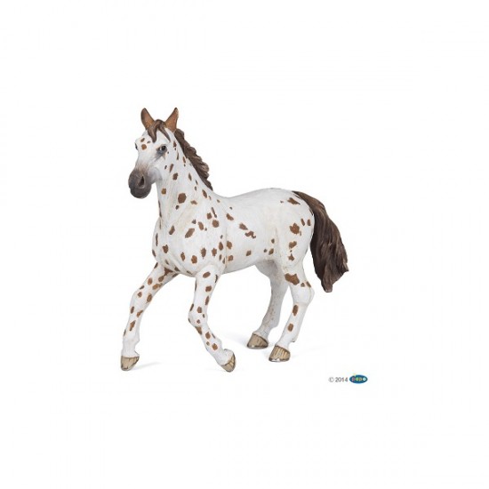 Μινιατούρα άλογο Appaloosa