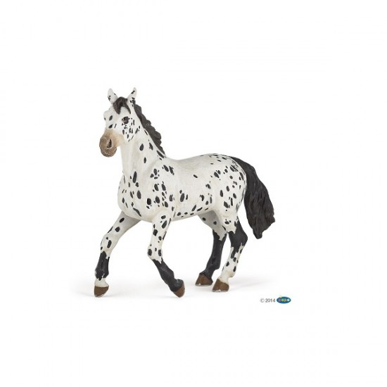 Μινιατούρα άλογο Appaloosa