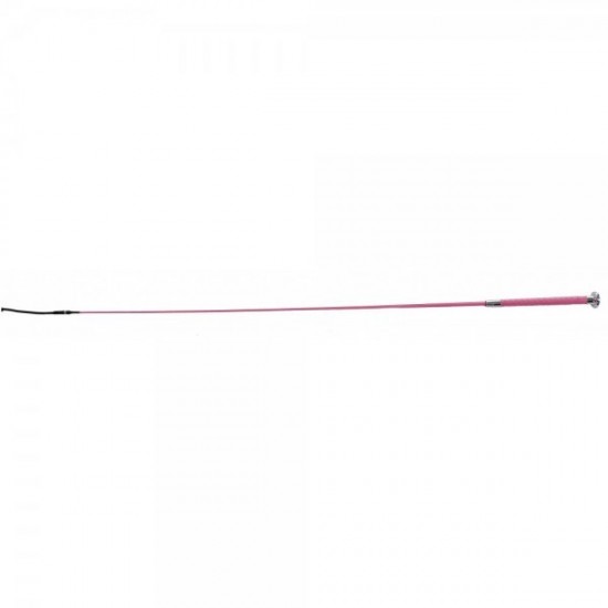 Μαστίγιο Ι.Δ. Fiberglass (Η)